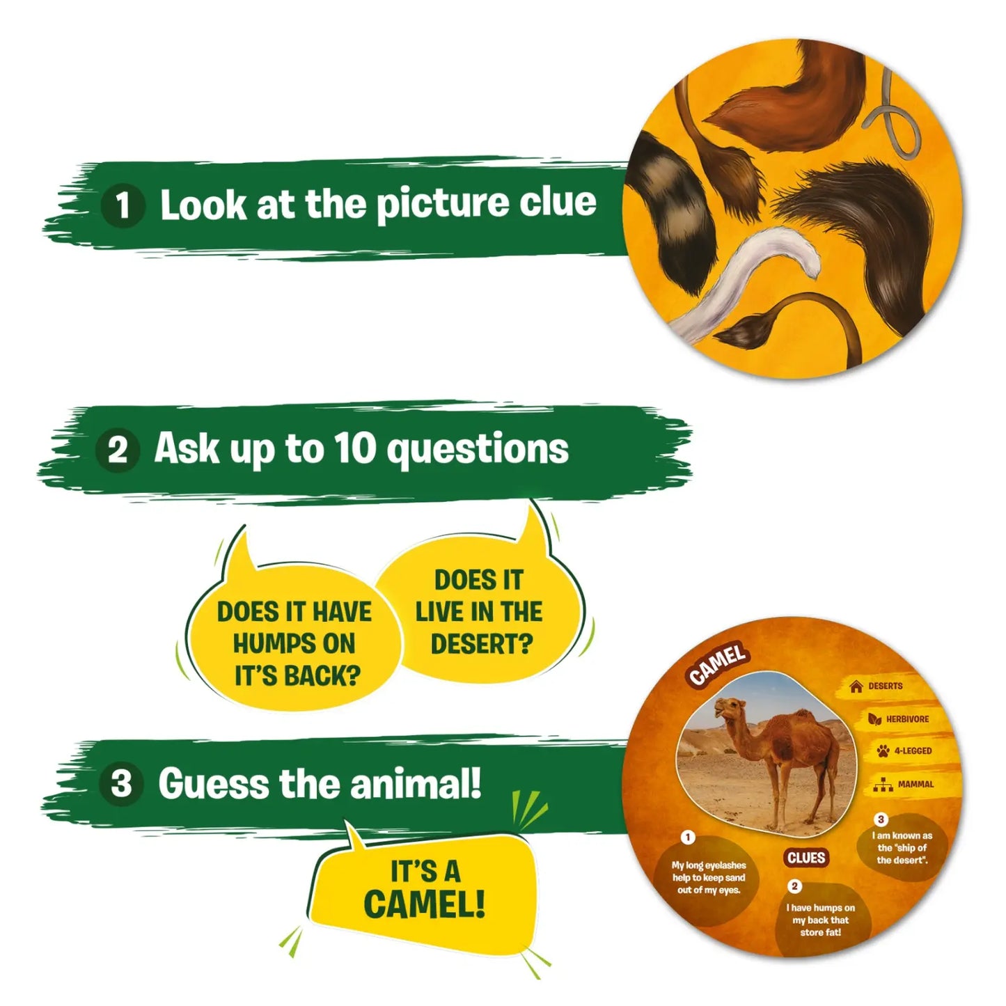 Animal guessing game instructions for Guess in 10 Picture Clues Animal Planet trivia card game