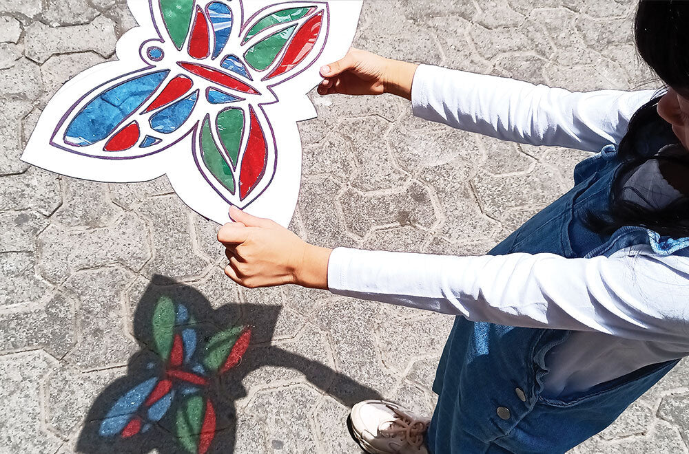 Child holding the butterfly and looking at the shadow created