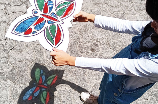 Child holding the butterfly and looking at the shadow created