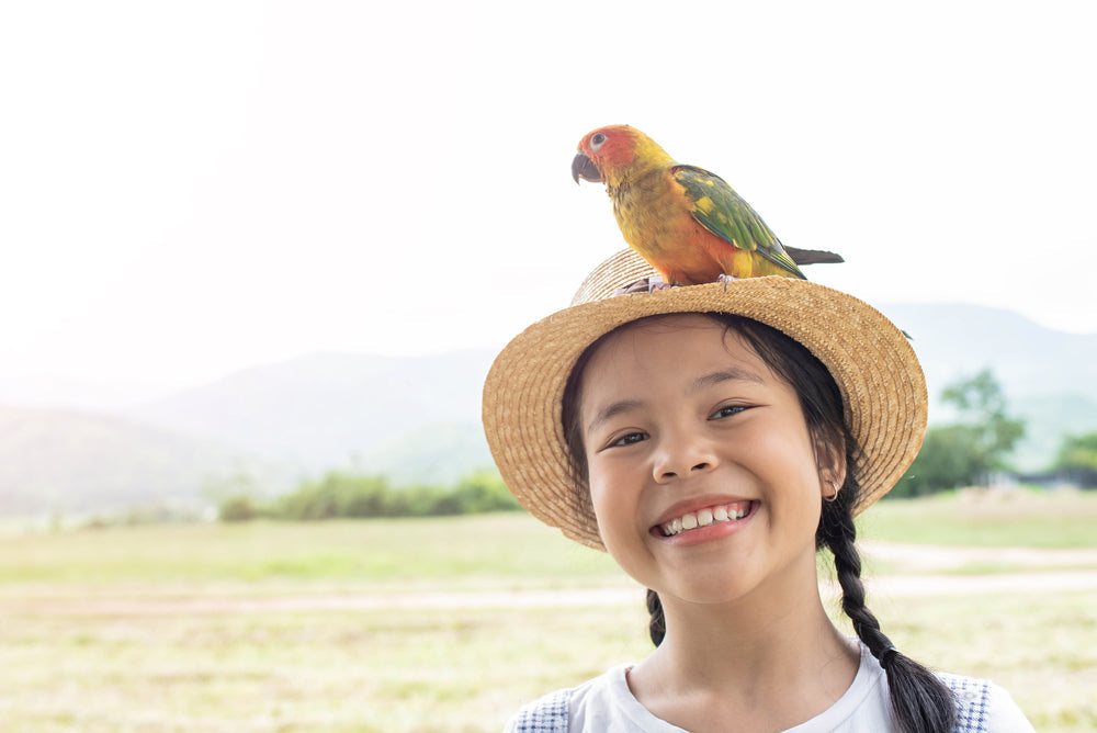 Craft Your Own Bird Feeder