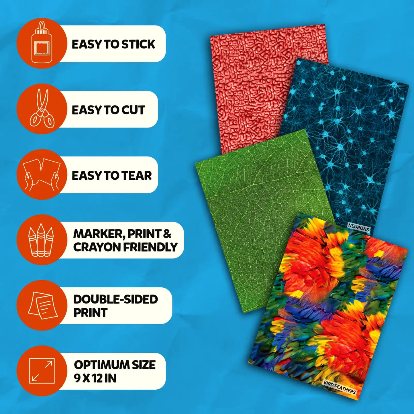 Clever Prints: Life Science | Construction Paper (60 Sheets)