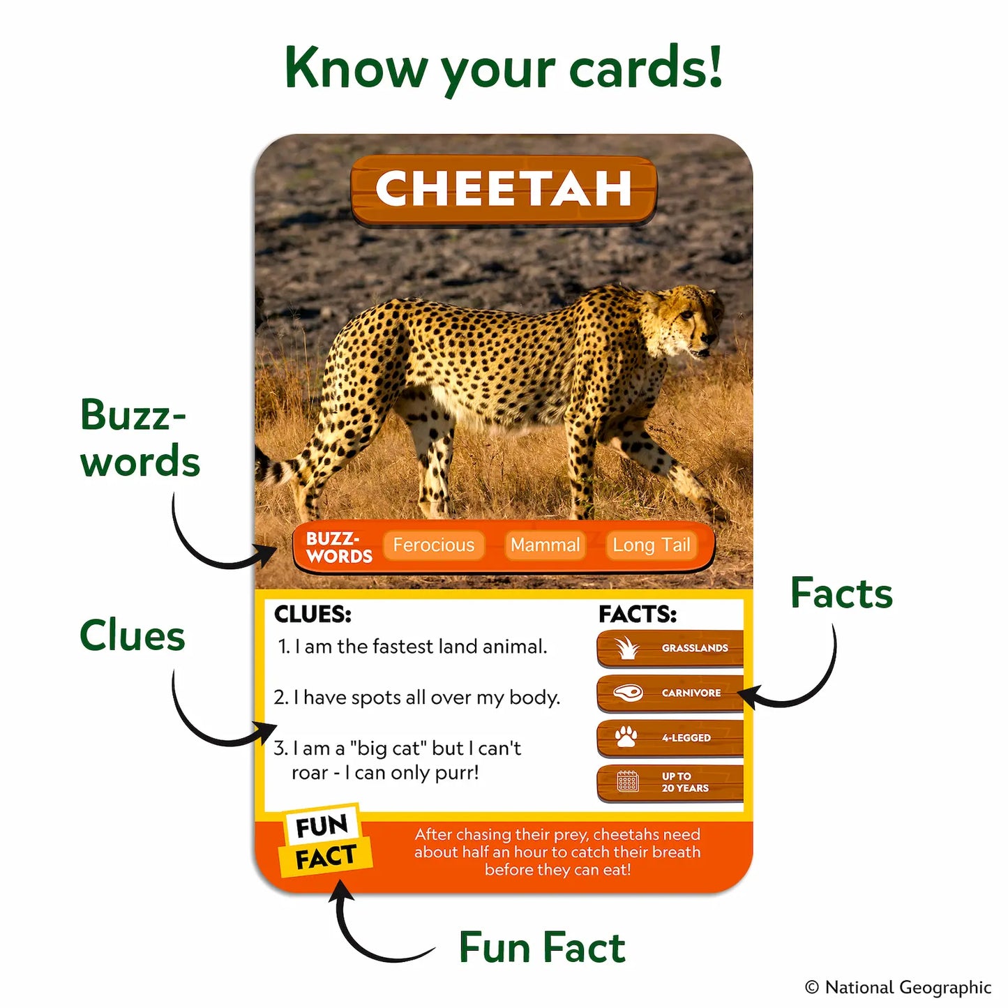 Guess in 10: National Geo Animals | Trivia Card Game (ages 6+)