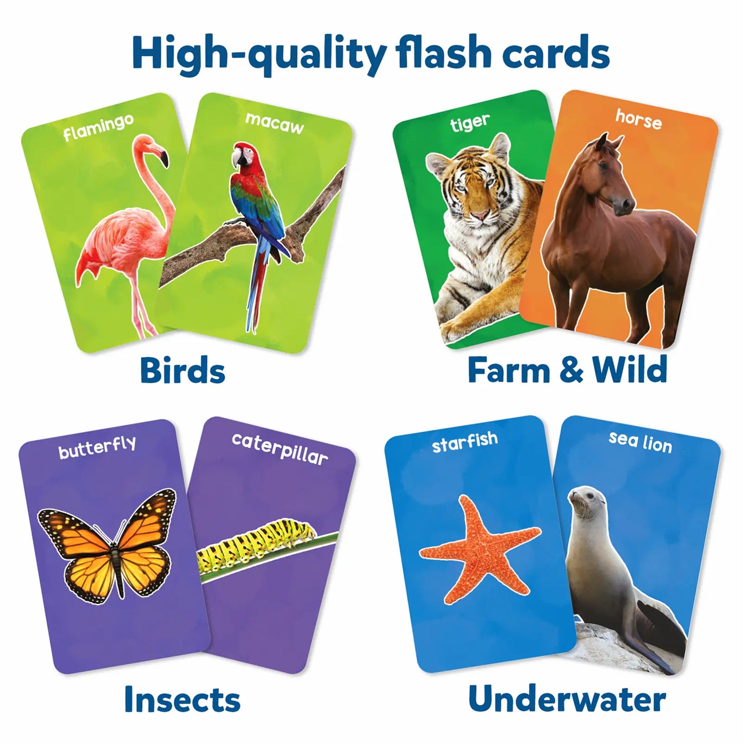Flash Cards for toddlers: First 100 Animals (ages 1-4)