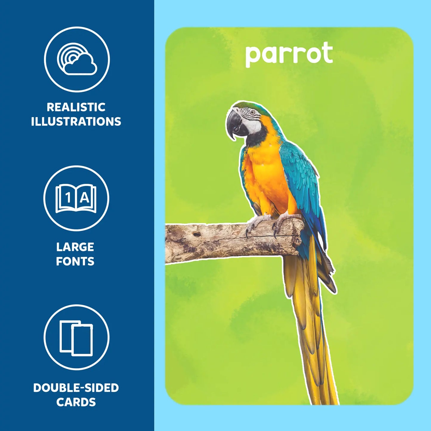 Educational parrot flashcard from Flash Cards for Toddlers First 100 Animals for ages 1 to 4