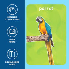 Educational parrot flashcard from Flash Cards for Toddlers First 100 Animals for ages 1 to 4