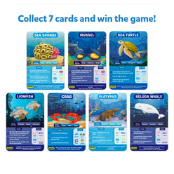 Collection of underwater animal cards from Guess in 10 trivia card game for ages 8+