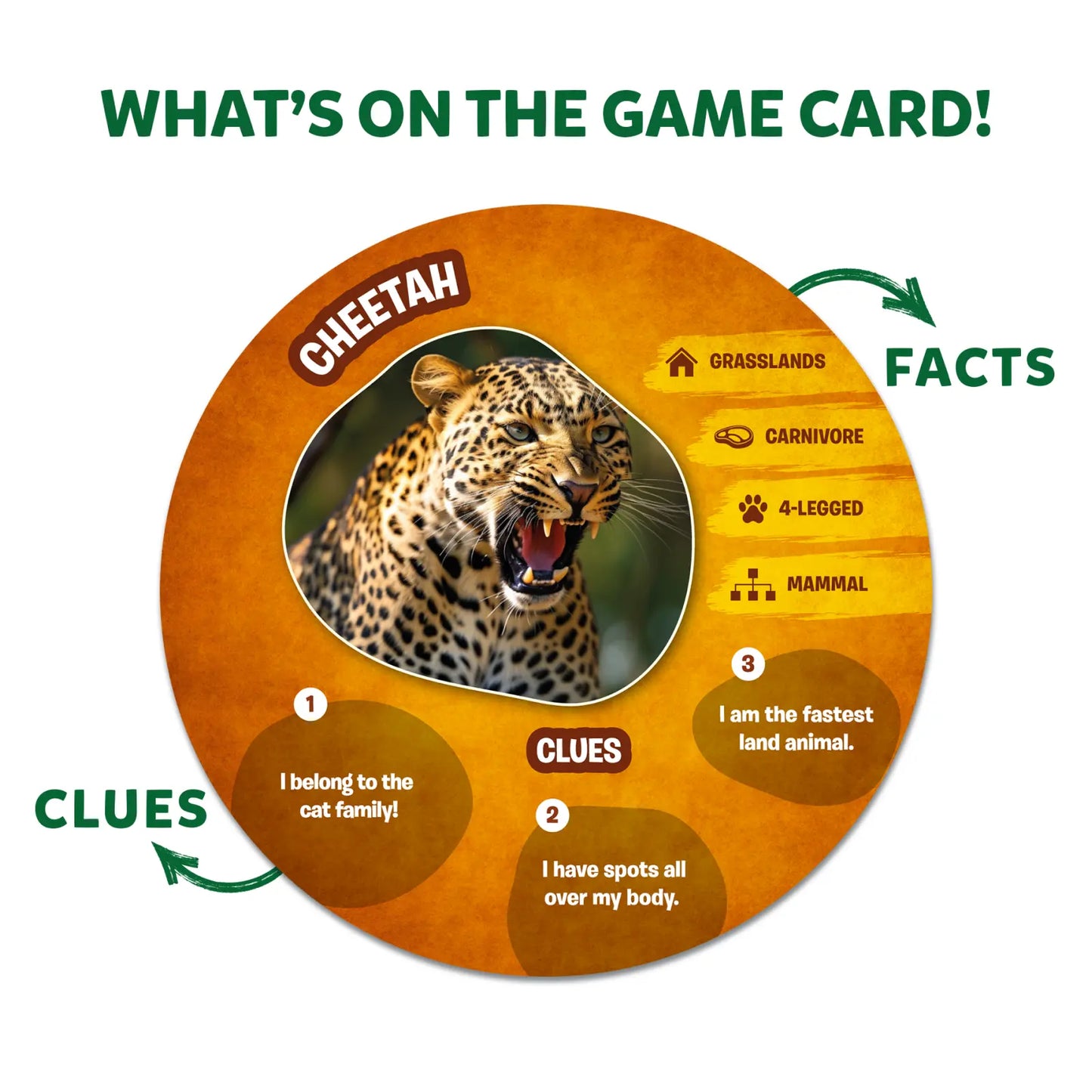 Guess in 10: Picture Clues Animal Planet | Trivia card game (ages 6+)