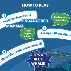 Blue whale guessing game card from Guess in 10: Underwater Animals trivia game