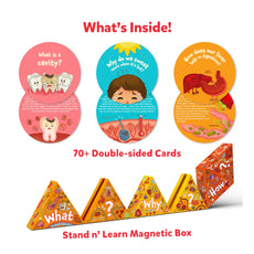 Educational card set from Science Snippets Kit The Human Body for ages 7 and up