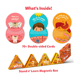 Educational card set from Science Snippets Kit The Human Body for ages 7 and up