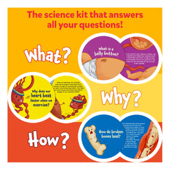 Educational science kit poster for Science Snippets Kit The Human Body for ages 7+