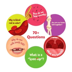 Educational question cards from the Science Snippets Kit The Human Body for ages 7+