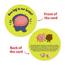 Educational brain card from Science Snippets Kit The Human Body for ages 7 plus