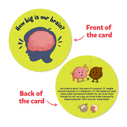 Educational brain card from Science Snippets Kit The Human Body for ages 7 plus