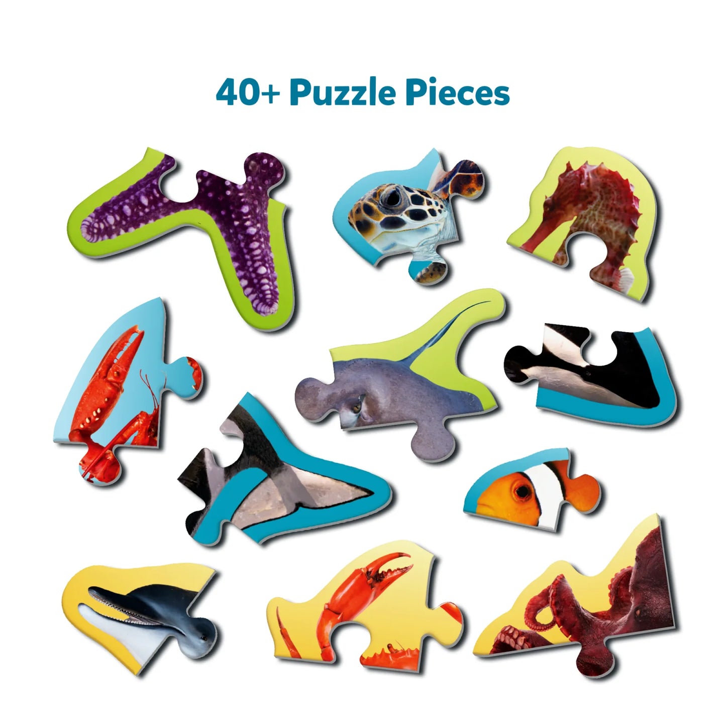 Step By Step Puzzle: Underwater Animals (ages 3+)