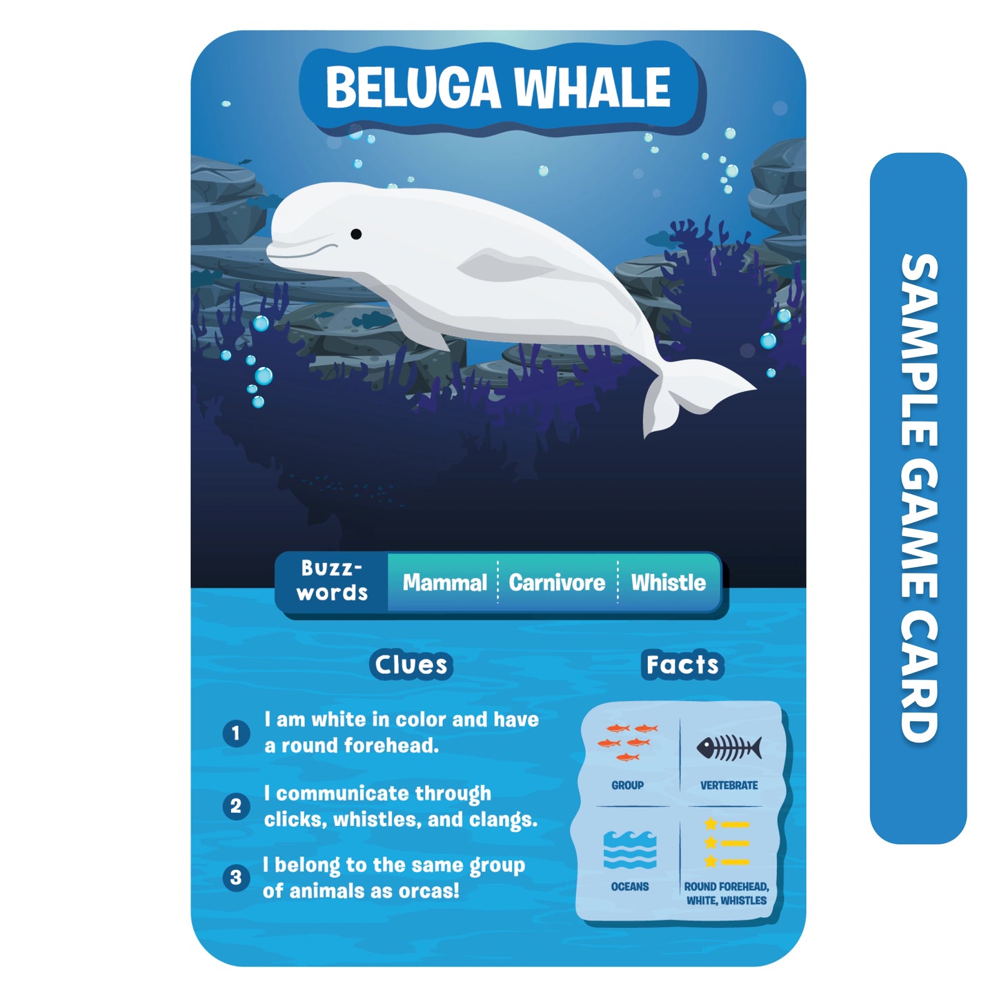 Beluga whale game card from Guess in 10 World Of Animals Board Game trivia game