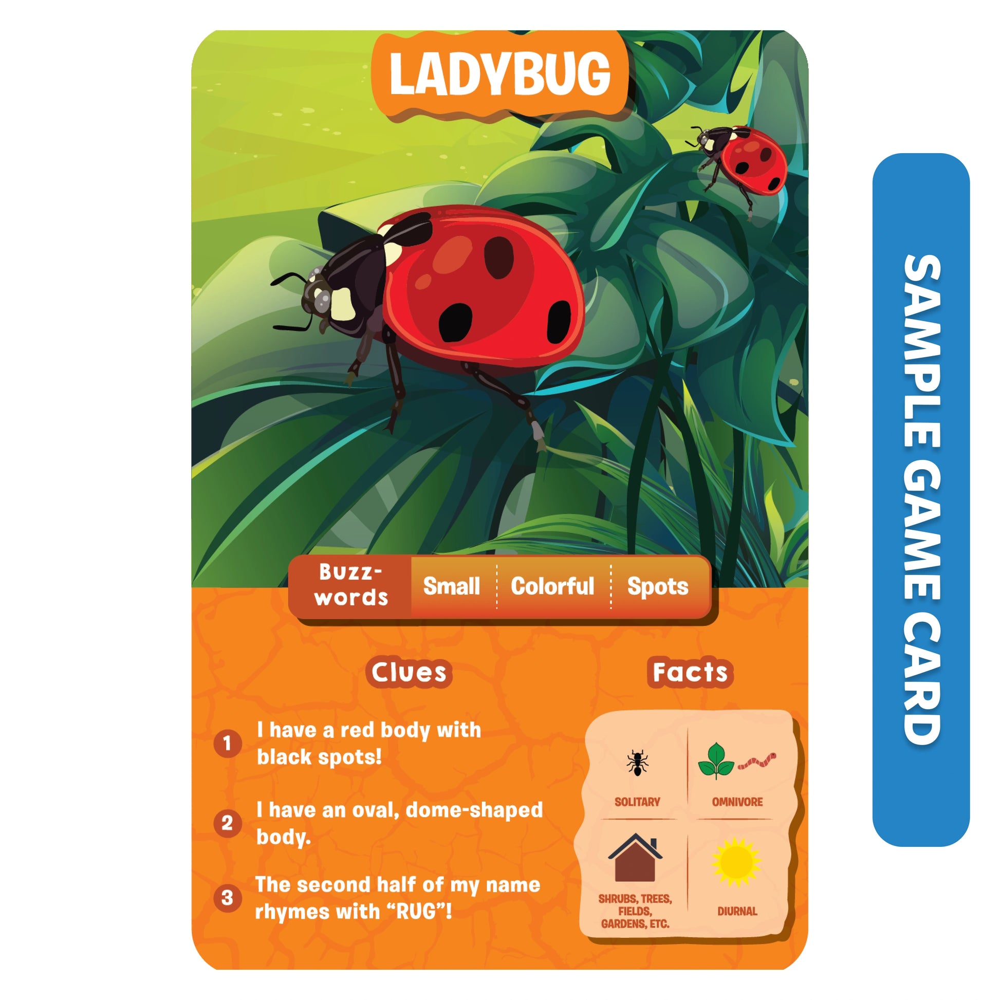 Ladybug game card from Guess in 10 World Of Animals Board Game for ages 6+